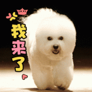 防曬霜是什么品牌的好(防曬霜有什么品牌)