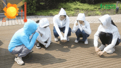 什么防曬霜品牌好(什么防曬霜品牌好又便宜)