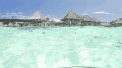 韓后防曬霜是國(guó)產(chǎn)品牌嗎(韓系防曬霜)