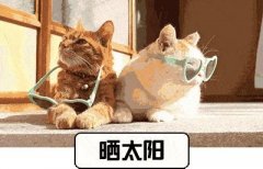 英國(guó)好一點(diǎn)的防曬霜品牌(英國(guó)好一點(diǎn)的防曬霜品牌推薦)