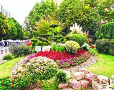 合肥微整形要多少錢(合肥整形費(fèi)用)