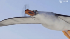 海鷗品牌的防曬霜(防曬霜品牌排名)